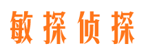 山南市侦探